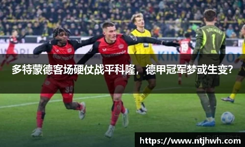zoty中欧