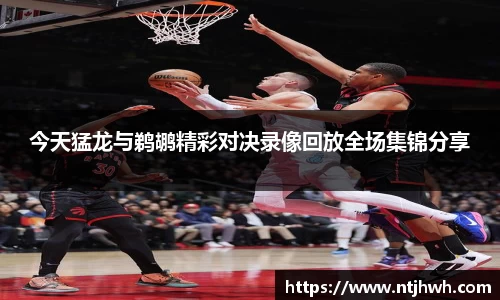 zoty中欧官网